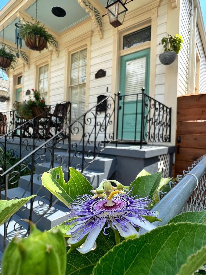 Luxury Historic Shotgun Home in Lower Garden District New Orleans Exterior foto