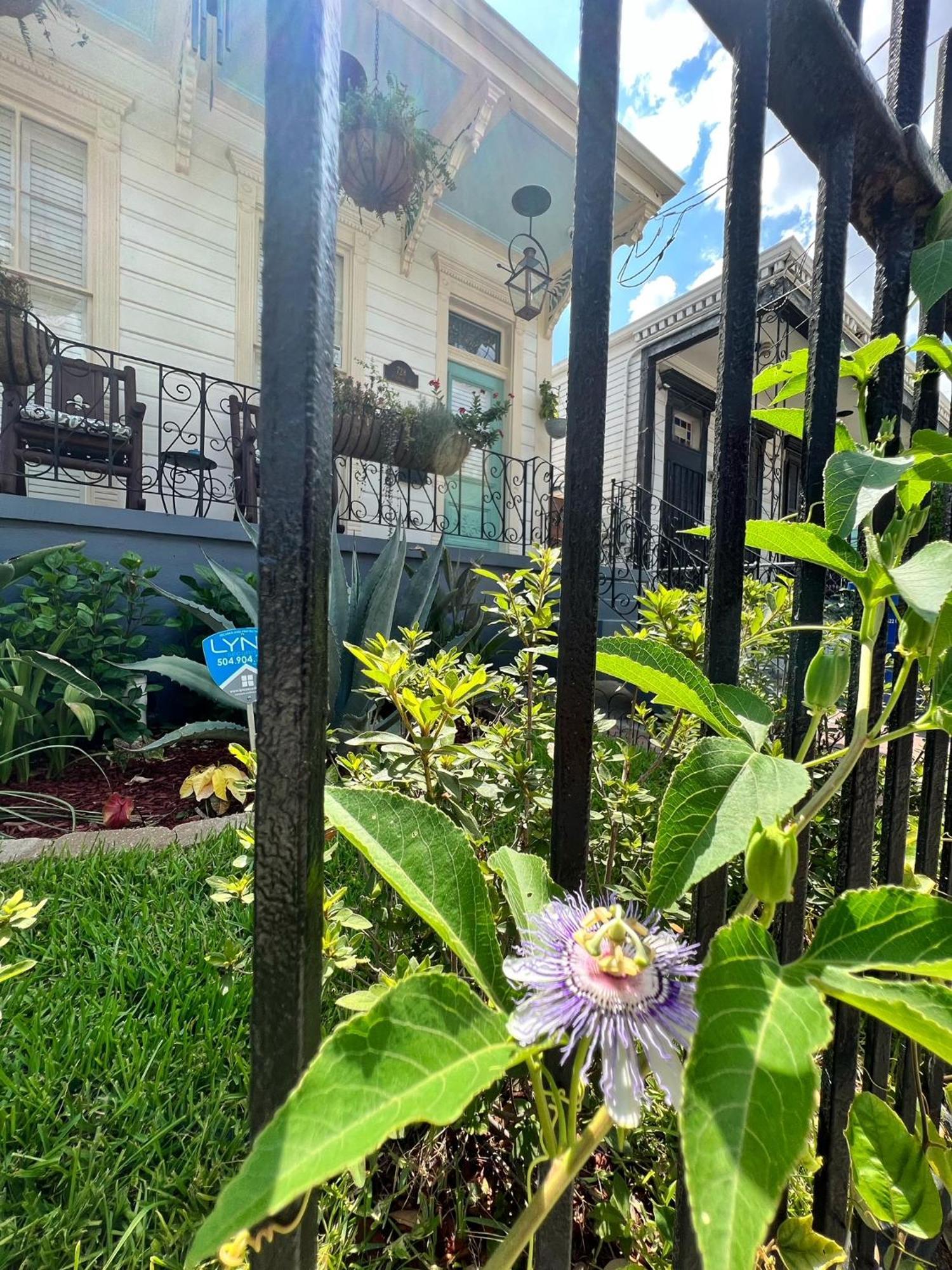 Luxury Historic Shotgun Home in Lower Garden District New Orleans Exterior foto